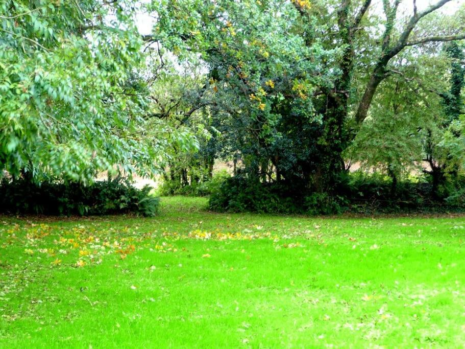 Apartmán Croft Flat Kilgetty Exteriér fotografie
